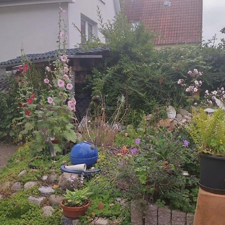 Plön Charmante Ferienwohnung מראה חיצוני תמונה